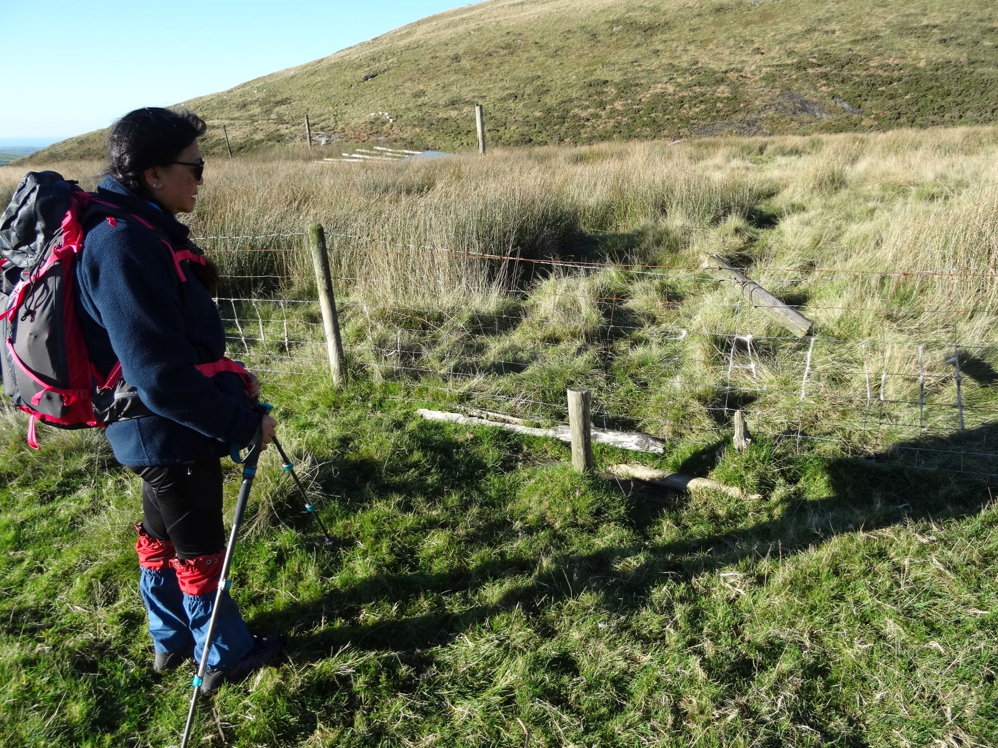 RachelSeabrook.net | Wild Walking | Moel y Llyn | pic13